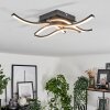 CASAIS Ceiling Light LED black, 4-light sources