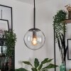 GASTOR Pendant Light - glass black, 1-light source