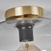 APEDO Ceiling Light - glass brass, 1-light source