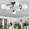 CHEHALIS Ceiling Light white, 6-light sources