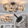 CHEHALIS Ceiling Light Smoke-coloured, 6-light sources