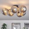 CHEHALIS Ceiling Light Smoke-coloured, 6-light sources