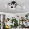 CHEHALIS Ceiling Light clear, 6-light sources