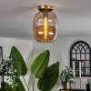 APEDO Ceiling Light - glass brass, 1-light source