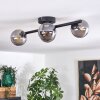 CHEHALIS Ceiling Light - glass Smoke-coloured, 4-light sources