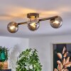 CHEHALIS Ceiling Light - glass Smoke-coloured, 4-light sources