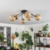 CHEHALIS Ceiling Light - glass gold, black, 6-light sources