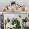 CHEHALIS Ceiling Light - glass gold, black, 6-light sources