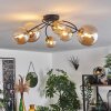 CHEHALIS Ceiling Light - glass gold, black, 6-light sources