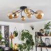 CHEHALIS Ceiling Light - glass gold, black, 6-light sources