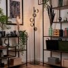 REMAISNIL Floor Lamp - glass black, 5-light sources