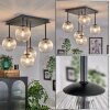 CHEHALIS Ceiling Light - glass clear, 5-light sources