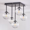 CHEHALIS Ceiling Light - glass clear, 5-light sources