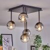 CHEHALIS Ceiling Light - glass clear, Smoke-coloured, 5-light sources