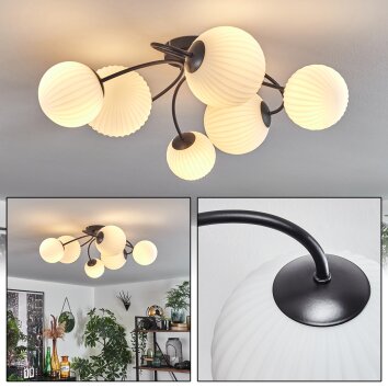 CHEHALIS Ceiling Light - glass black, 6-light sources