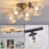 CHEHALIS Ceiling Light - glass clear, 4-light sources