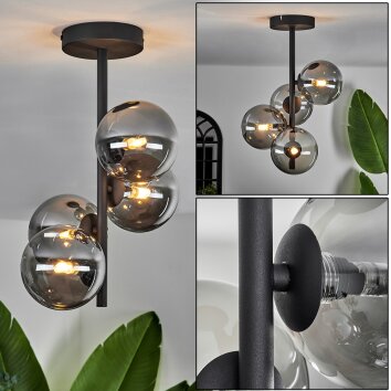 CHEHALIS Ceiling Light - glass Smoke-coloured, 4-light sources