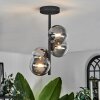 CHEHALIS Ceiling Light - glass clear, Smoke-coloured, 4-light sources