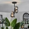 CHEHALIS Ceiling Light - glass clear, Smoke-coloured, 4-light sources