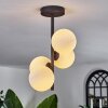 CHEHALIS Ceiling Light - glass white, 4-light sources