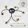 CHEHALIS Ceiling Light - glass gold, black, 6-light sources