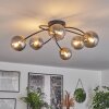 CHEHALIS Ceiling Light - glass gold, black, 6-light sources