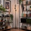 REMAISNIL Floor Lamp - glass black, 3-light sources