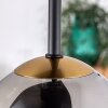 CHEHALIS Ceiling Light - glass gold, black, 5-light sources