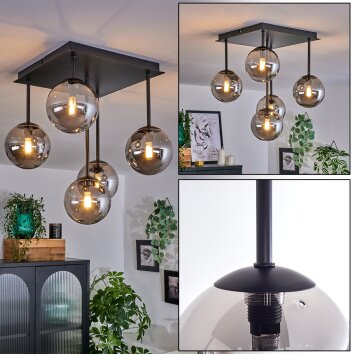 CHEHALIS Ceiling Light - glass Smoke-coloured, 5-light sources