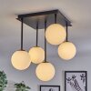 CHEHALIS Ceiling Light - glass gold, black, 5-light sources