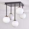 CHEHALIS Ceiling Light - glass gold, black, 5-light sources