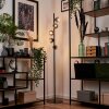 REMAISNIL Floor Lamp - glass clear, Smoke-coloured, 5-light sources