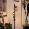 REMAISNIL Floor Lamp - glass clear, Smoke-coloured, 5-light sources