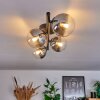 CHEHALIS Ceiling Light - glass clear, Smoke-coloured, 4-light sources