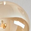 CHEHALIS Ceiling Light - glass gold, black, 6-light sources