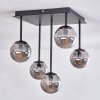 CHEHALIS Ceiling Light - glass Smoke-coloured, 5-light sources