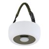 Globo SOLAR Pendant Light LED green, white, 1-light source, Colour changer