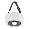 Globo SOLAR Pendant Light LED green, white, 1-light source, Colour changer