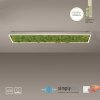 Leuchten-Direkt GREEN KNUT Ceiling Light LED silver, 1-light source