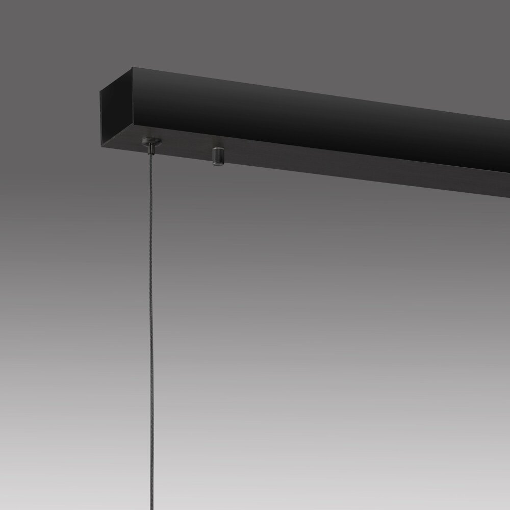Paul-Neuhaus NANIA Pendant Light LED Wood like finish, black, 1-light source