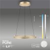 Paul-Neuhaus PURE E-LOOP Pendant Light LED gold, 2-light sources, Remote control