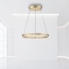 Paul-Neuhaus PURE E-LOOP Pendant Light LED gold, 2-light sources, Remote control