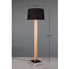 Trio RAHUL Floor Lamp black, 2-light sources