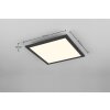 Reality BETA Ceiling Light LED black, 1-light source, Remote control, Colour changer