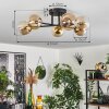 Chehalis Ceiling Light - glass 10 cm gold, black, 6-light sources