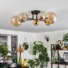 Chehalis Ceiling Light - glass 10 cm, 12 cm, 15 cm gold, black, 6-light sources