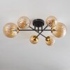 Chehalis Ceiling Light - glass 10 cm, 12 cm, 15 cm gold, black, 6-light sources