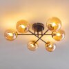 Chehalis Ceiling Light - glass 12 cm gold, black, 6-light sources