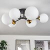 Chehalis Ceiling Light - glass 12 cm, 15 cm gold, black, 6-light sources