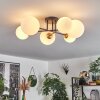 Chehalis Ceiling Light - glass 12 cm, 15 cm gold, black, 6-light sources